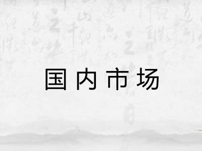 国内市场