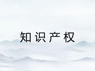 知识产权 知识产权