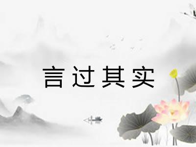 言过其实 言过其实