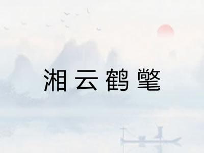 湘云鹤氅