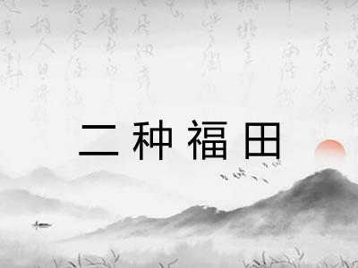二种福田 二种福田