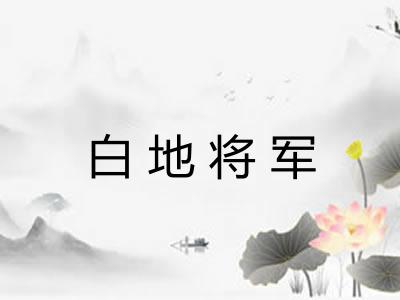 白地将军 白地将军