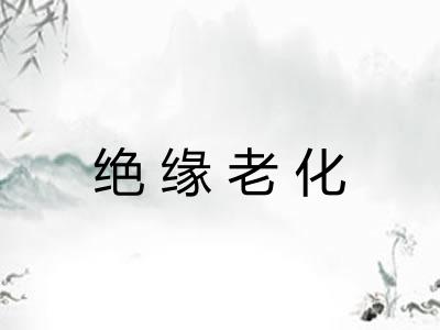 绝缘老化 绝缘老化