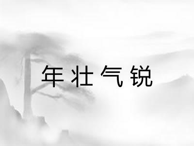 年壮气锐
