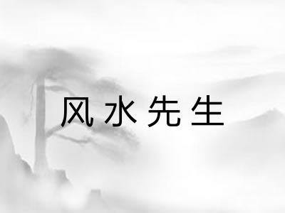 风水先生 风水先生