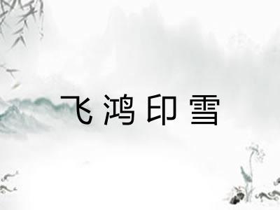 飞鸿印雪
