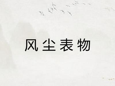 风尘表物