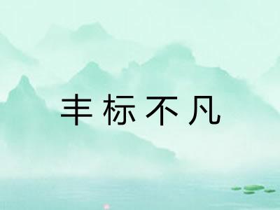 丰标不凡