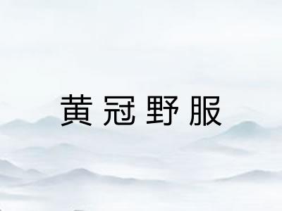黄冠野服 黄冠野服