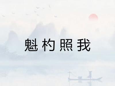 魁杓照我