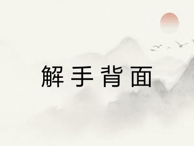 解手背面