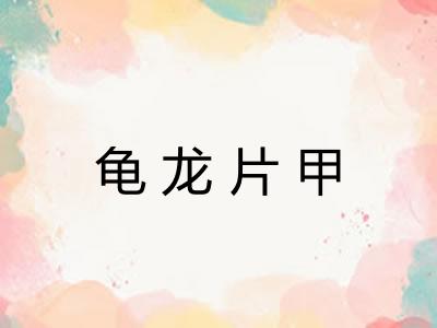龟龙片甲