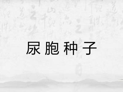 尿胞种子