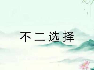 不二选择