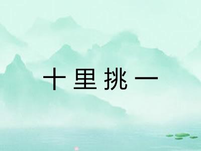 十里挑一