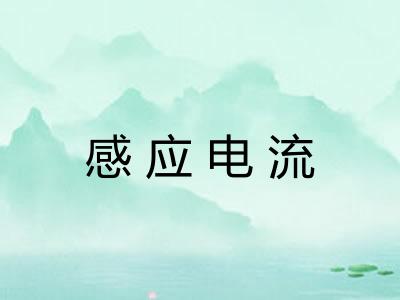 感应电流