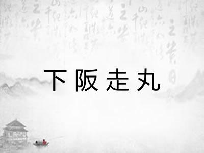 下阪走丸