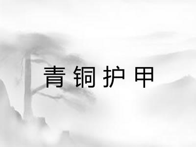 青铜护甲