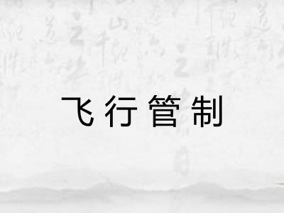 飞行管制