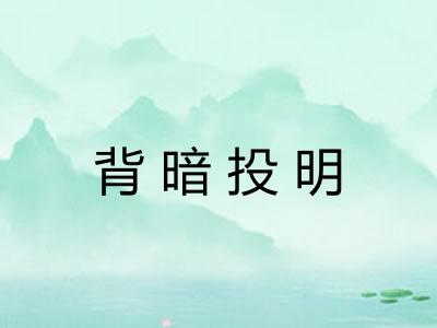 背暗投明 背暗投明