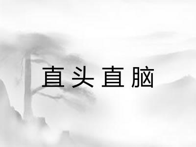 直头直脑 直头直脑