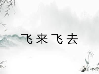 飞来飞去