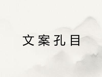 文案孔目