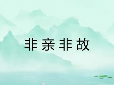 非亲非故 非亲非故