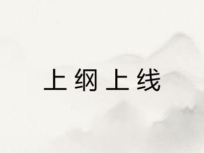 上纲上线
