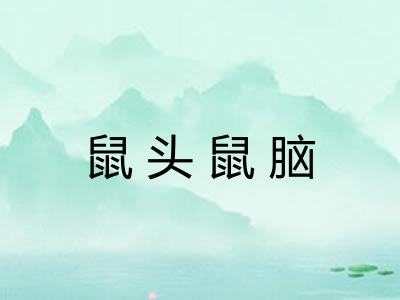 鼠头鼠脑