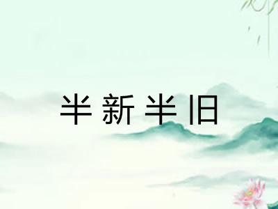 半新半旧