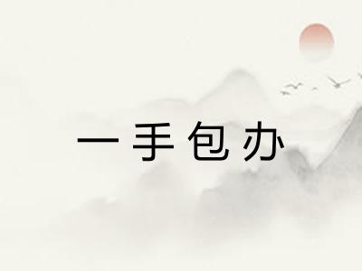 一手包办 一手包办