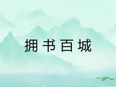 拥书百城