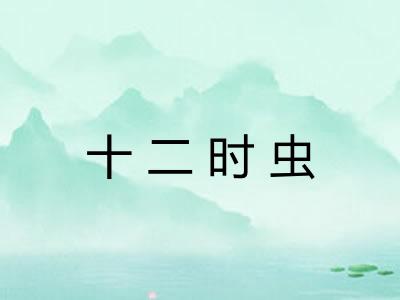 十二时虫