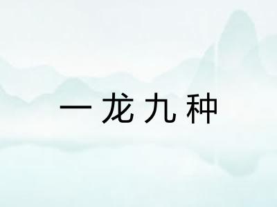 一龙九种