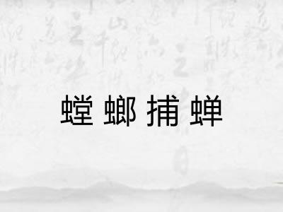 螳螂捕蝉