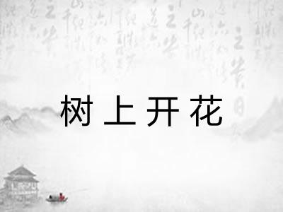 树上开花 树上开花