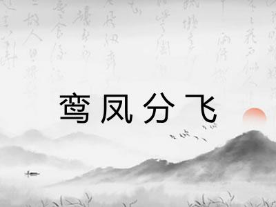 鸾凤分飞 鸾凤分飞