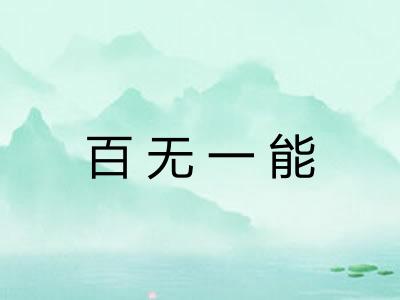 百无一能
