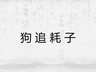 狗追耗子