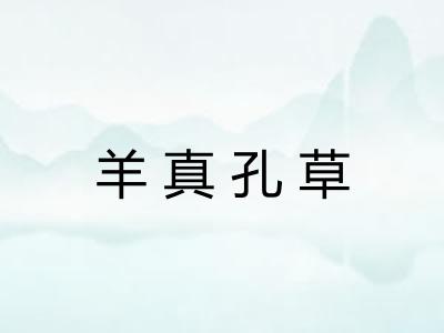 羊真孔草 羊真孔草