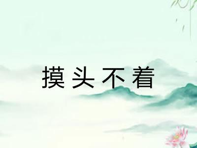 摸头不着