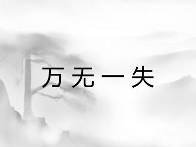 万无一失 万无一失