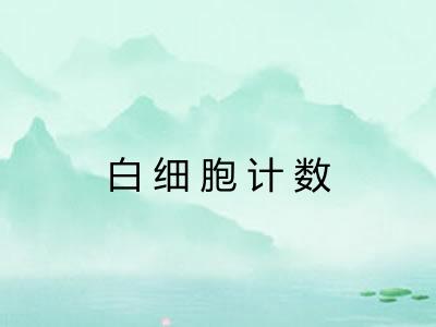 白细胞计数