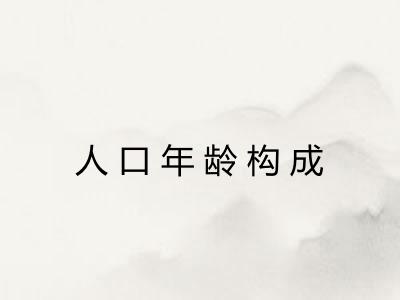 人口年龄构成