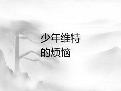 少年维特的烦恼