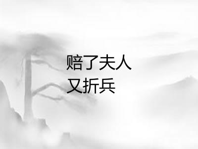 赔了夫人又折兵