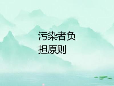 污染者负担原则