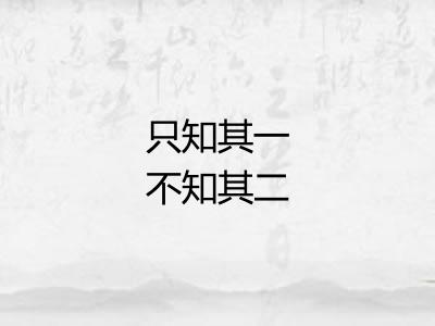 只知其一不知其二