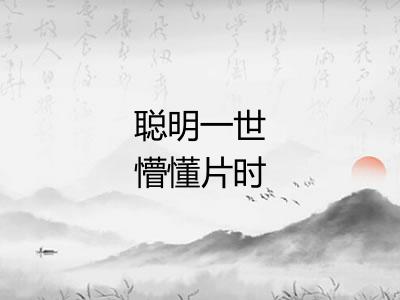聪明一世懵懂片时